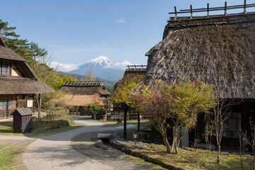 Saiko no Sato Thatch house with mt. Fuji in spring, Yamanashi, Japan