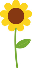 Sunflower Illustration Element