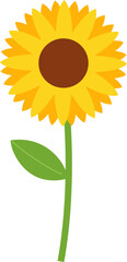 Sunflower Illustration Element
