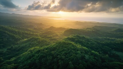 Obraz premium Aerial view of a tropical green forest on a mountain, with the sun rising over the horizon