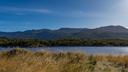The beautiful landscape of Patagonia in autumn. There is a forest growing on the shore of the blue lake. The Andes mountains against the blue sky. There is yellowed grass in the foreground. Argentina