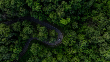 Aerial view asphalt road curve in jungle green forest with truck car winding road through the green forest, Truck car drive on the curve road between green forest, Curve road in woodland trip. © Kalyakan