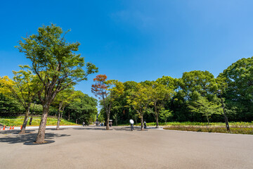 練馬城址公園の風景（2023年7月）