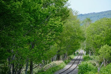 【北海道】美深の線路