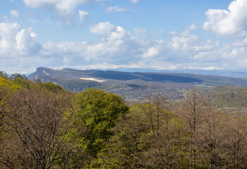 spring landscape in a mountainous area,blooming fruit trees in the garden
