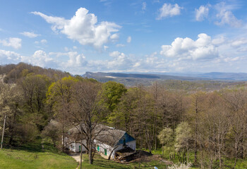 spring landscape in a mountainous area,blooming fruit trees in the garden