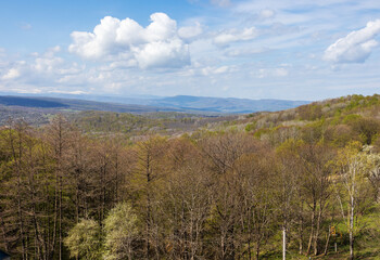 spring landscape in a mountainous area,blooming fruit trees in the garden