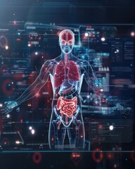Digital human anatomy illustration displaying internal organs and futuristic medical data on a virtual interface background.