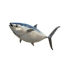 Fototapeta premium High-resolution image of a tuna fish swimming, ideal for nature or aquatic-themed projects and publications.