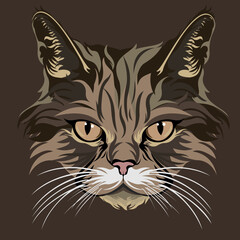 Obraz premium cat faces and colorful vector illustration