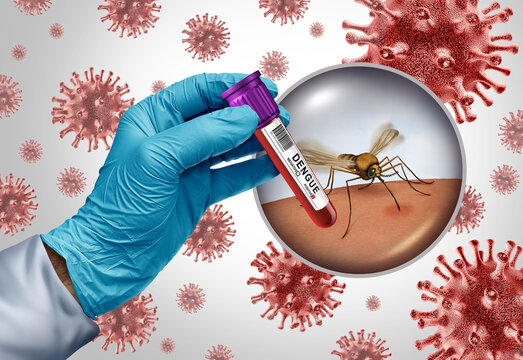 Dengue Virus Outbreak as a mosquito-borne illness or breakbone fever or a viral infection caused by an mosquitoes resulting in West Nile Virus Zika or malaria.