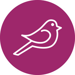 Finch Line White Circles Multicolors