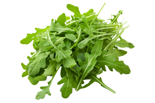 Bunch of fresh green arugula leaves isolated on a white background.