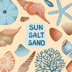 Coastal poster with shells, corals and starfish. Summer beach background with text. Vector illustration. Summer maritime card