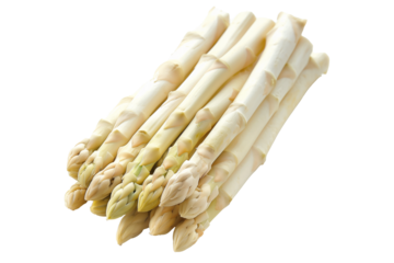 Fresh white asparagus spears isolated on a white background.
