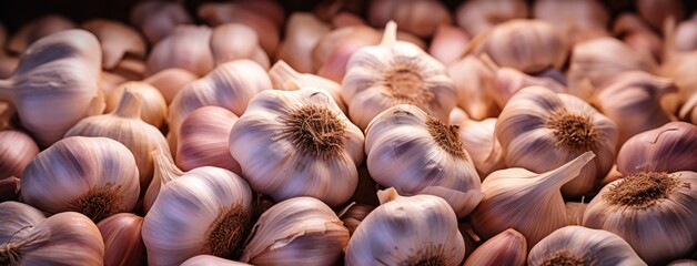 A pile of garlic bulbs in a row