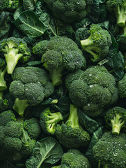 Fresh broccoli