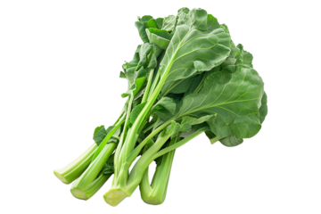 Chinese broccoli floret with green leaves, isolated on a white background.