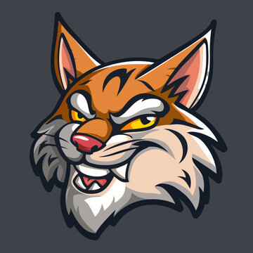 recommend clip art: cartoon character logo, Bobcat, winking, smiling, 2d, vector illustration, mascot logo