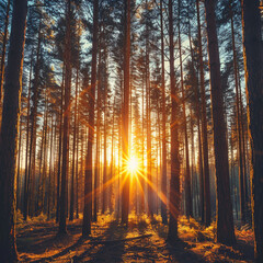 Obraz premium Forest ecosystem and health concept and background