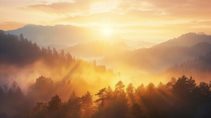 Fototapeta premium Golden sunrise over misty mountains, forest covered in morning fog, warm light spreading, serene and invigorating landscape