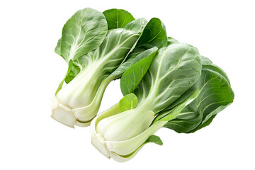 Fresh green bok choy vegetables cabbage isolated on a white background.