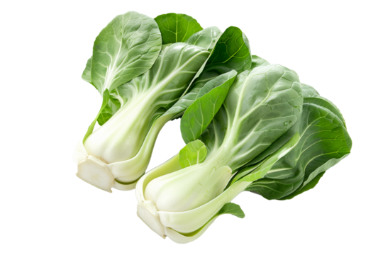 Fresh green bok choy vegetables cabbage isolated on a white background.