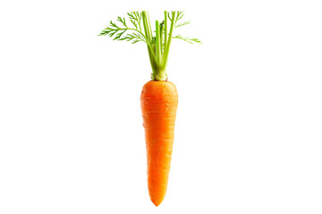 Fresh Chantenay carrot with green leaves isolated on a white background.