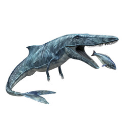 Fototapeta premium 3d Ichthyosaurus catching fish isolated on the white background.