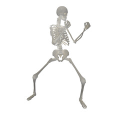 3d render of human skeleton in a fighting position on a transparent background
