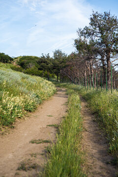Rural road in recreation area around Lisi lake