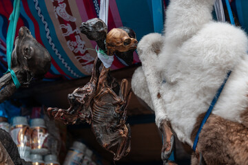 llama fetuses at the witches market in la paz bolivia
