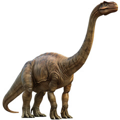 Obraz premium 3d Argentinosaurus as a gentle giant isolated on the white background.