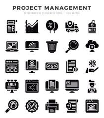 Project Management. Glyph icons Pack. vector illustration.