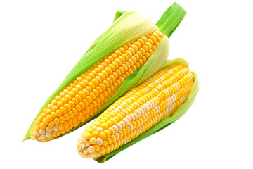 Fresh yellow corn with green leaves isolated on a white background.