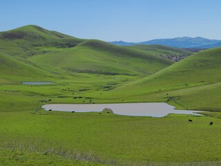 Winter rains bring lush greenery and lakes to the landscape of the California hills