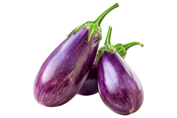 A single striped Italian purple eggplant is isolated on a white background.