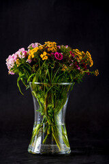 Beautiful bunch of wild flowers