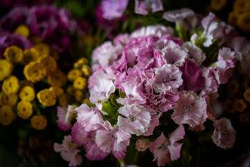 Beautiful bunch of wild flowers