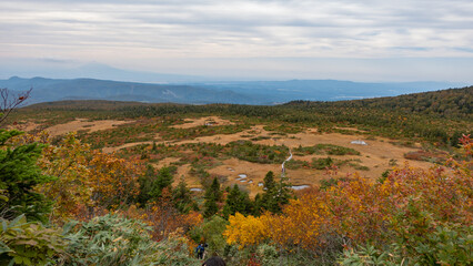 紅葉の八甲田山 毛無岱