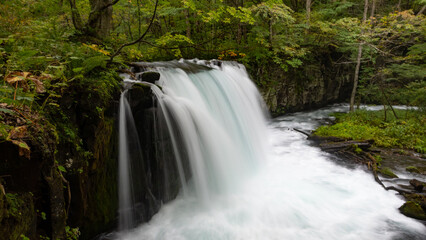 Obraz premium 奥入瀬渓流 銚子大滝