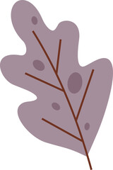 Leaves Illustrattion Set