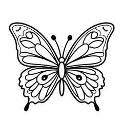 Butterfly vector Illustration .Butterfly silhouette
