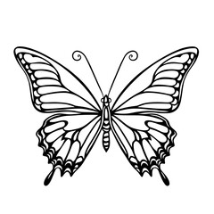 Butterfly vector Illustration .Butterfly silhouette