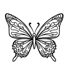 Butterfly vector Illustration .Butterfly silhouette