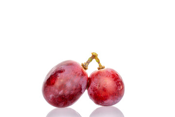 Two juicy grape berries, macro, isolated on white background.