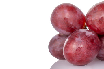 One bunch of juicy grapes, macro, isolated on white background.