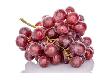 One bunch of juicy grapes, macro, isolated on white background.