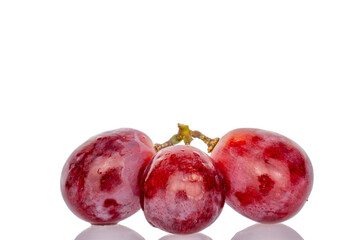 Three berries of juicy grapes, macro, isolated on white background.