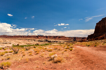 アメリカの荒野と赤土の風景